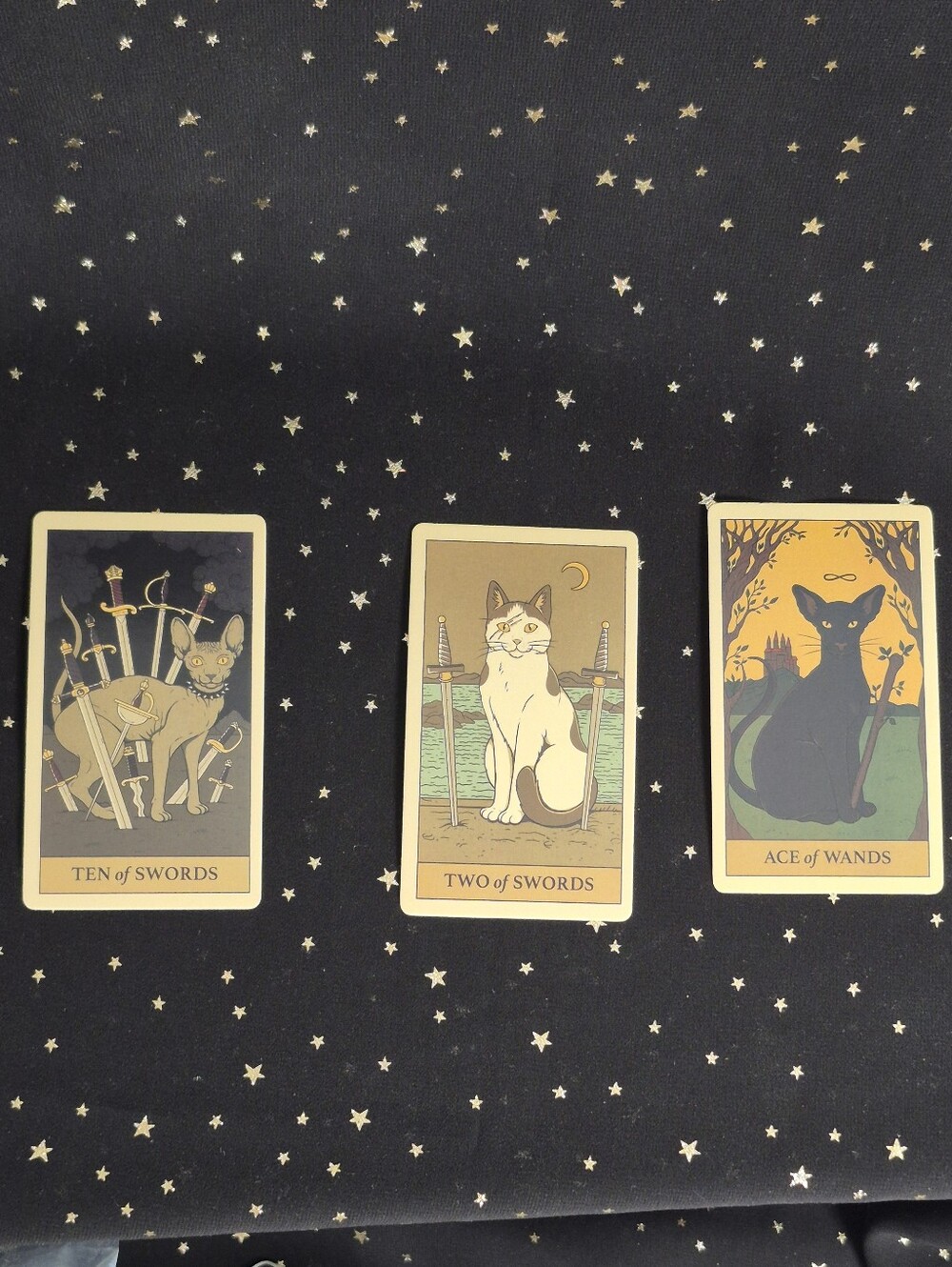 NWT Cats Rule the Earth Tarot Deck - Picture 4 of 4